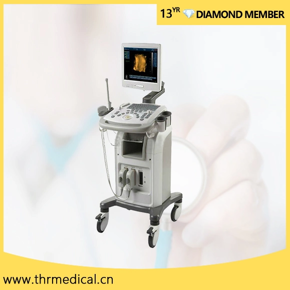 2D Medical Ultrasonic Therapy Equipment with 3.5MHz Convex Probe (THR-US9902)