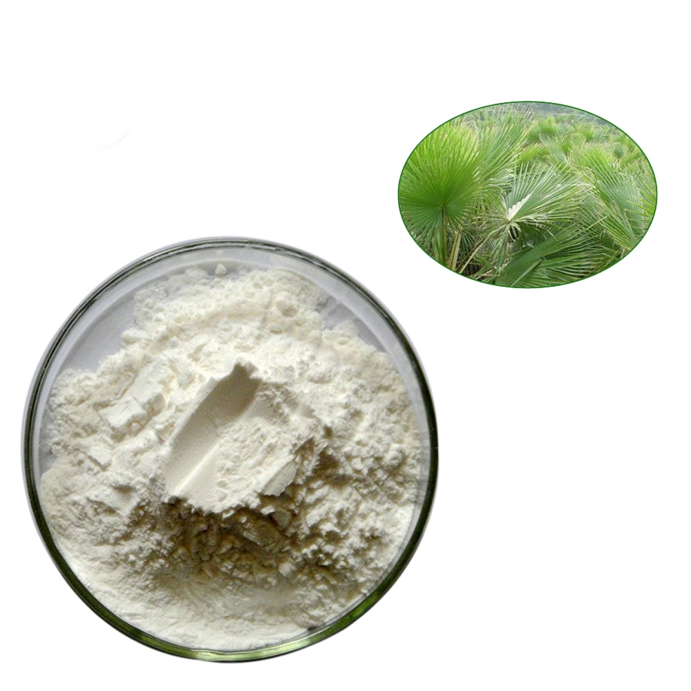 High quality/High cost performance 45% Fatty Acid Powder Saw Palmetto Extract Powder