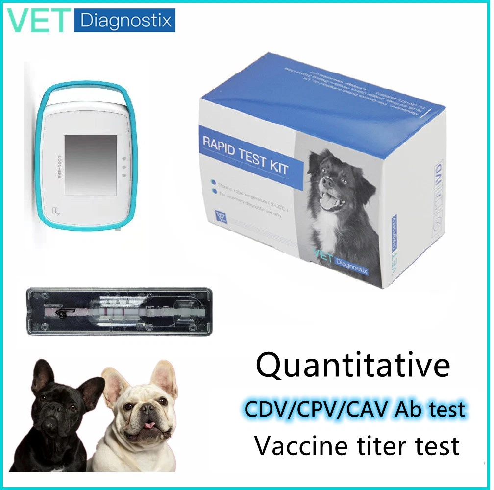 Quantitatives Schnelldiagnoseset Für Canine Stauper/Parvovirus/Adenovirus-Antikörper