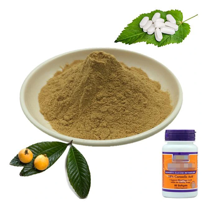 Herbal Extract Plant Insulin Antidiabetic Ingredient Loquat Leaf Extract Corosolic Acid 20% HPLC