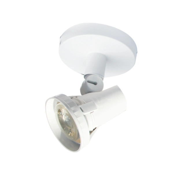 PAR20/PAR30/PAR38 Grounding/Wall LED Spot Light Fixture