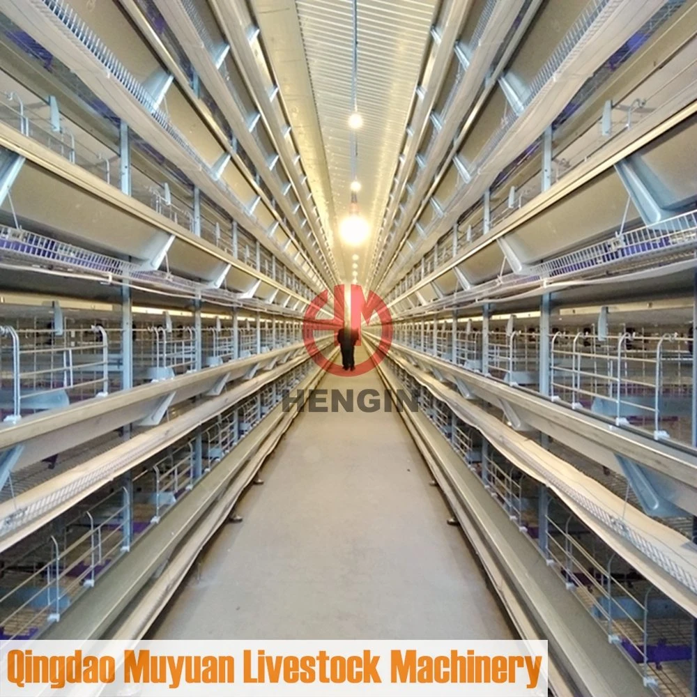 Geflügelfarm/Ackerbau Käfige Ausrüstung 4 Tiers Batterieschicht Käfig für Hühnerstall