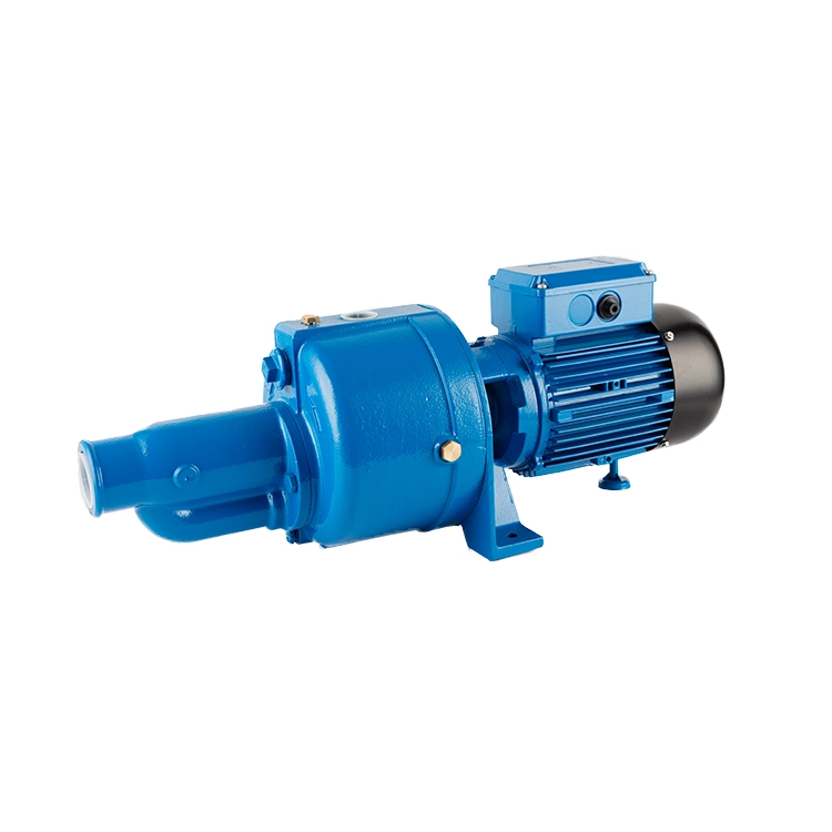 Cab Series Self Priming Deep Well Pumps 1.5HP 3HP Pump