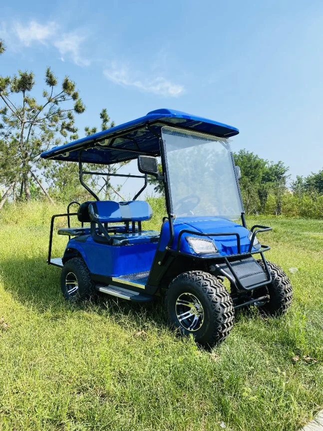 Promotion de la voiturette de golf électrique chaude 4 6 siège pour la vente touristique buggy de chasse