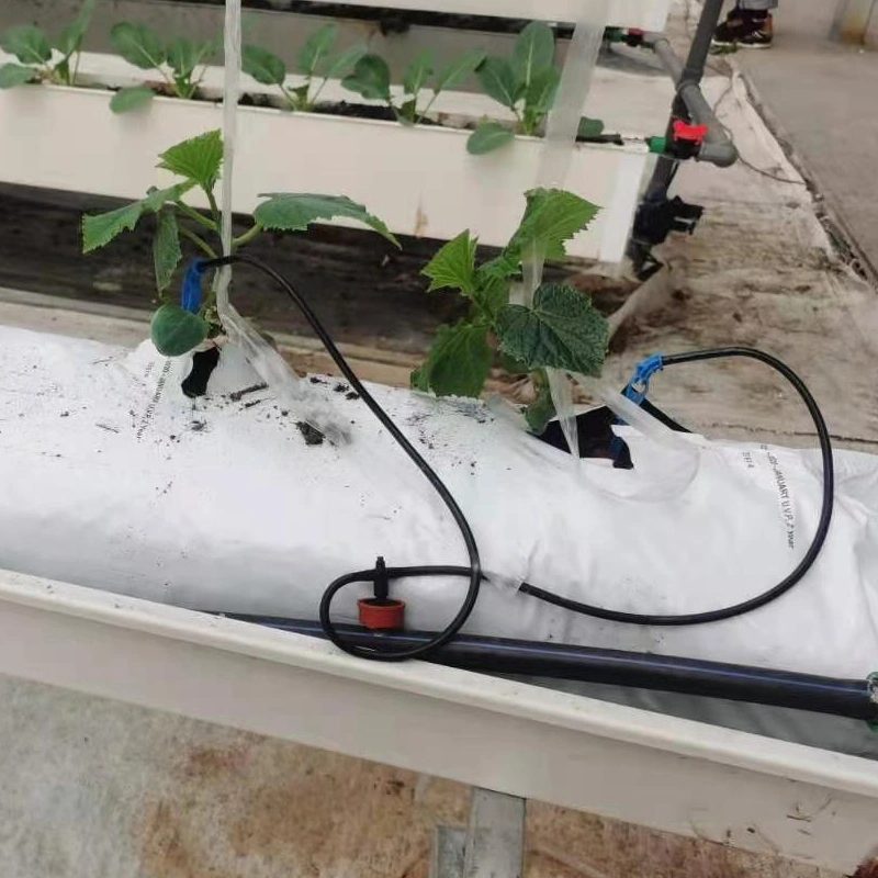 China Farm Facilities Equipment Intelligent Hydroponics System for Agricultural