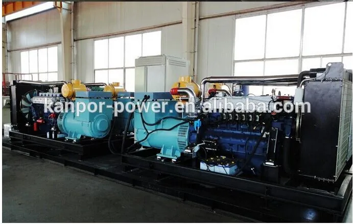 Natural Gas Diesel Generator Set, Biogas Generating Set, From 24kw-2400kw Powered by Cummins / Weichai / Deutz, German Tesla Power Authorized Mfr Kanpor