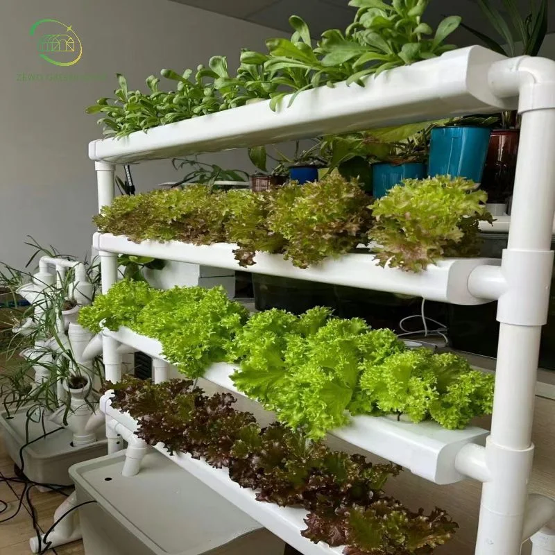 Low Cost Complete Hydroponics Growing System for Soiless Cultivation