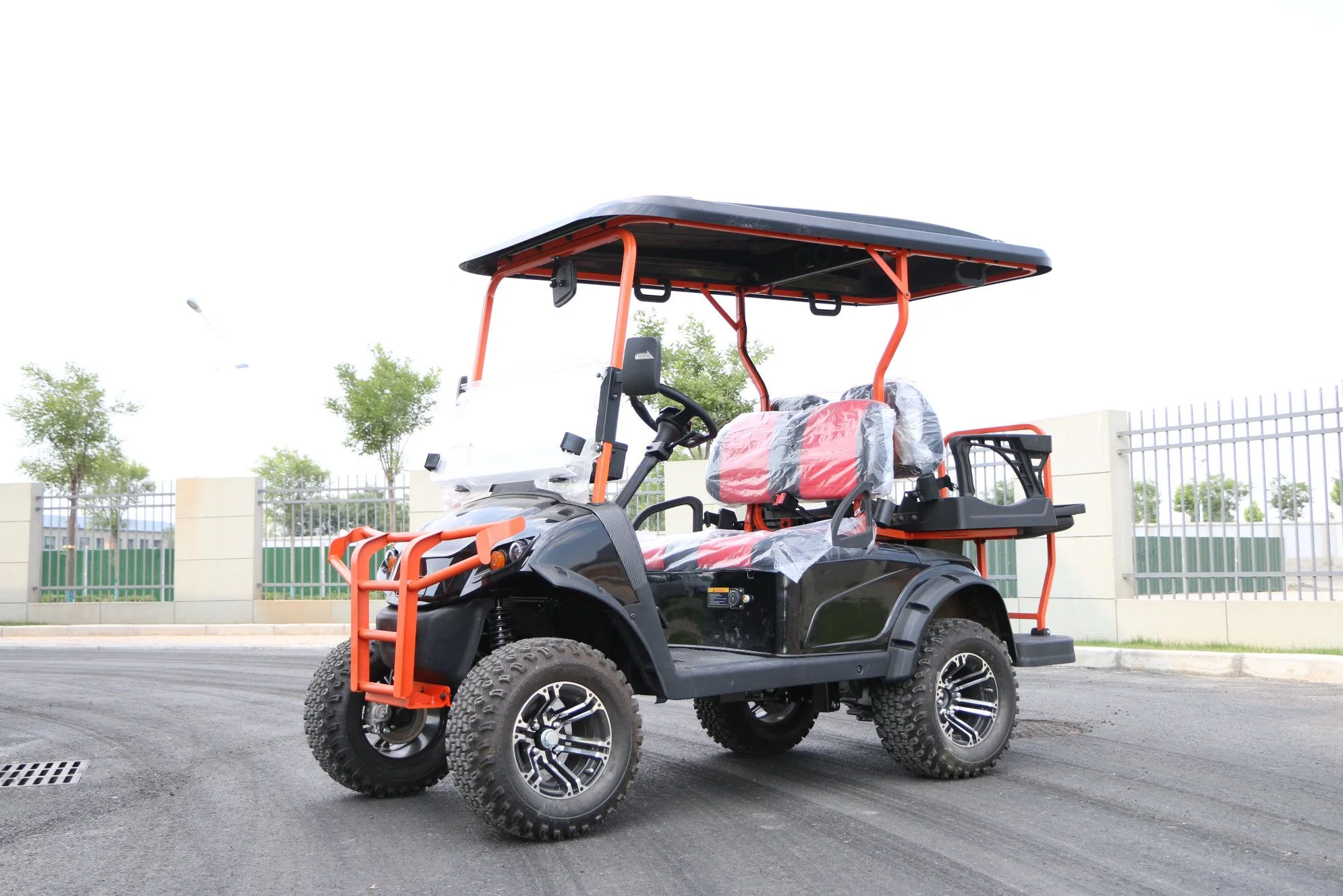 Electric Golf Cart with Lithium Battery Better Than Other Brand