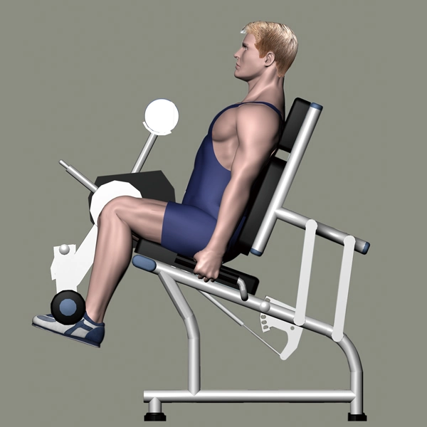 Gym Equipment Fitness for Seated Leg Extension (M2-1005)