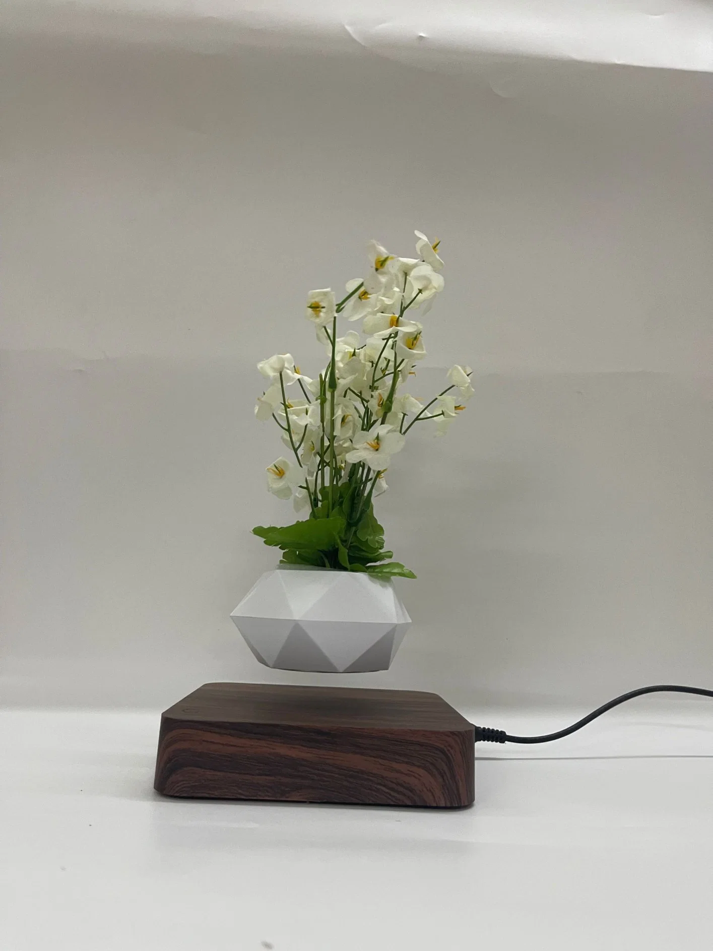 Levitación magnética árbol de planta Bonsai flotante de aire Potted for Decoration Regalo