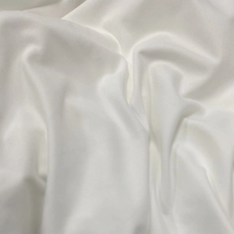 Fashion Top White GSM 200 Fabric for Elastic DTY Single Brush Knit Fabric Jersey Fabric