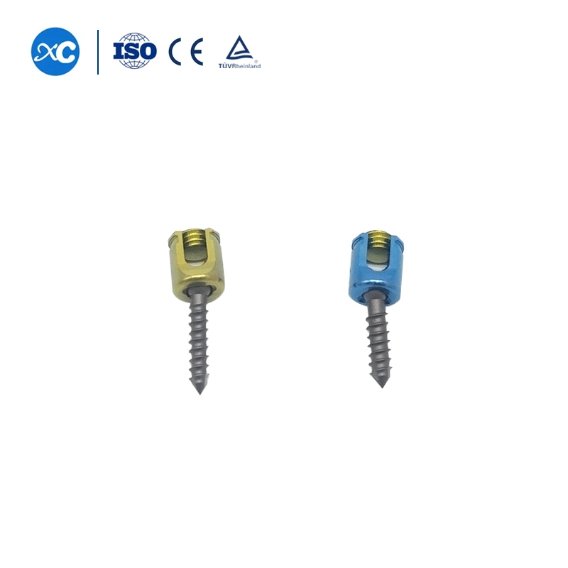 Implant orthopédique système spinal rachis Surgical série 6.0 filetage simple Vis colonne pédicelle