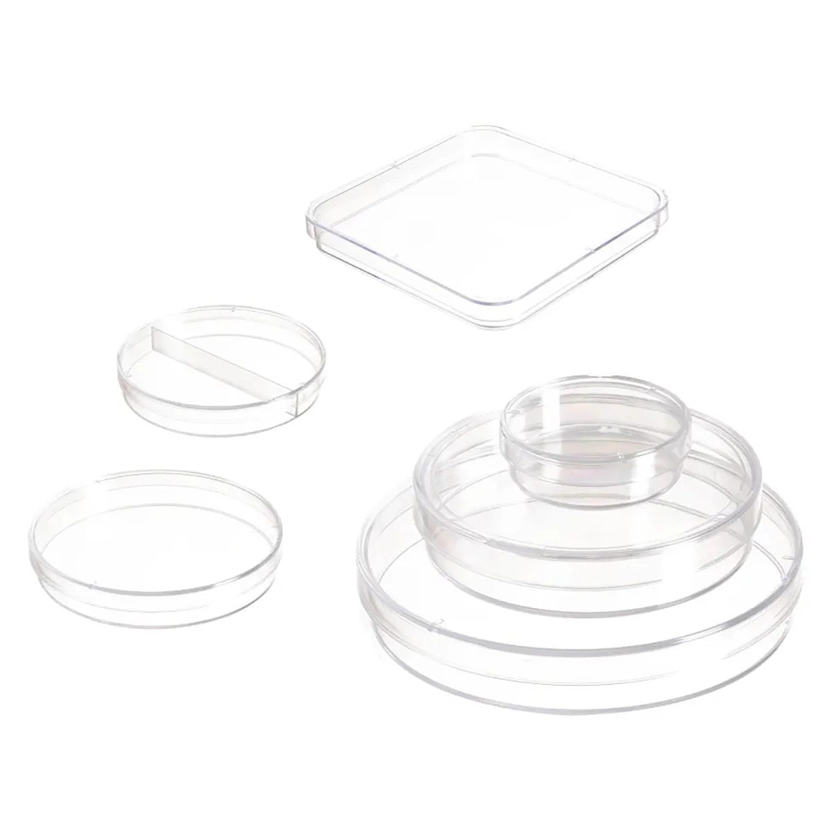 Plastic PS Laboratory Disposable 35mm 90mm 100mm 120mm 150mm Culture Plate Petri Dish for Cell Culture