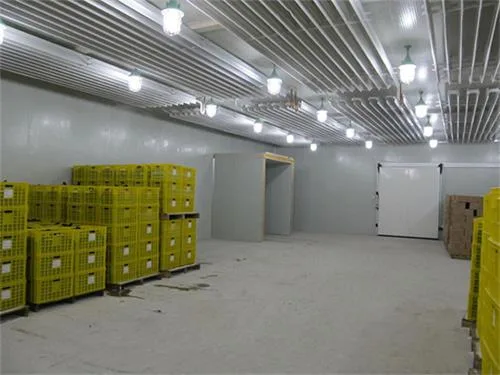 Prefabricated Cold Storage for Pumpkin Small Cold Room