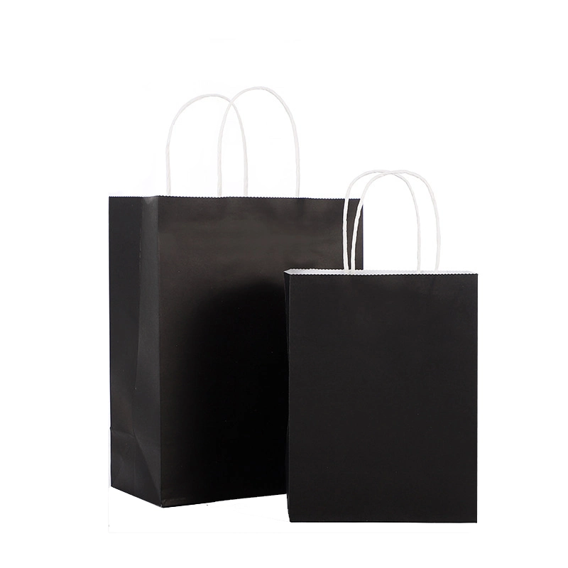 Eco-Friendly Custom Reusable Twist Handle Printed Paper Bag