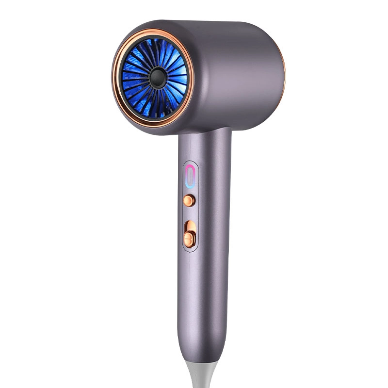 High quality/High cost performance Custom 1800W Salon Hot and Cold Ionic Electric Hairdryer