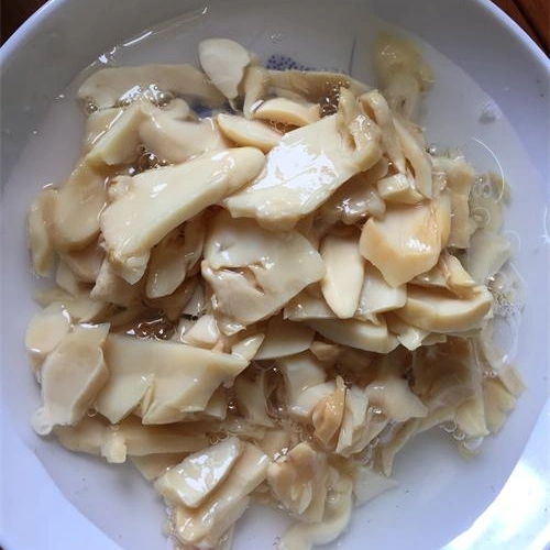 King Oyster Mushroom Slice Pieces and Stems with High quality/High cost performance 