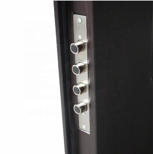 Mexico Latest Simple Design Interior Modern Steel Interior Door Manufacturer