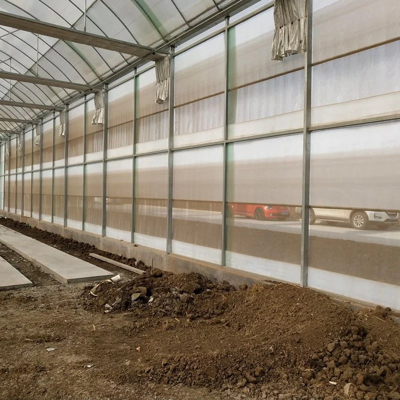 ISO Certified Multi-Span Greenhouse with Hollow Tempered Glass/Hydroponic System/Vegetable/Fruit/Flower/Lettuce Glass Greenhouse