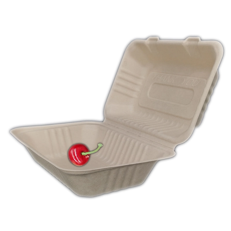 Biodegradable Disposable Sugar Cane Lunch Box, Bagasse Meal Box