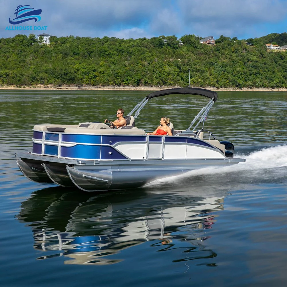 Barcos em Pontoon de luxo em alumínio com sofá-cama removível e dobrável Bar para Venda