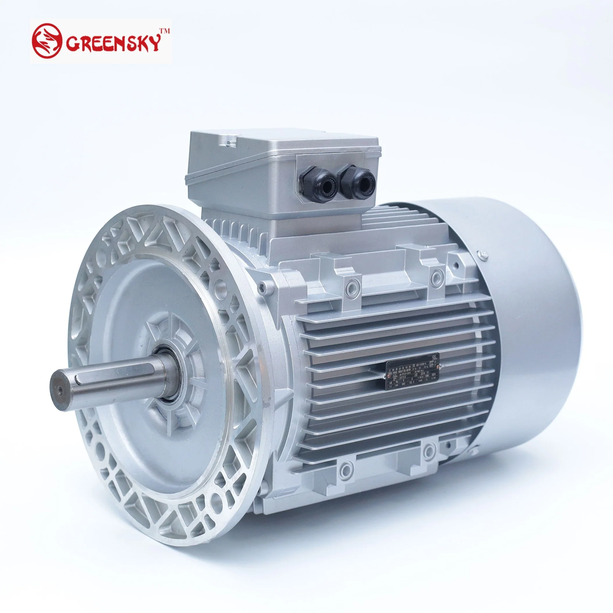 0.06kw~15kw Three-Phase AC Induction Motor for Water Pump