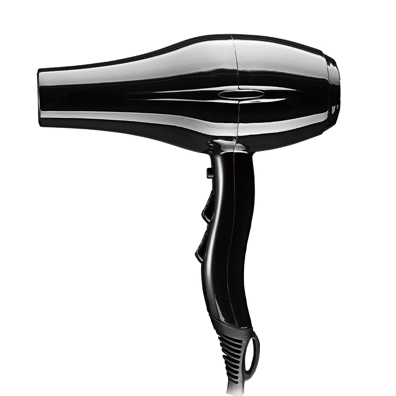 Powerful Professional Salon Hair Dryer with Fliter Removable