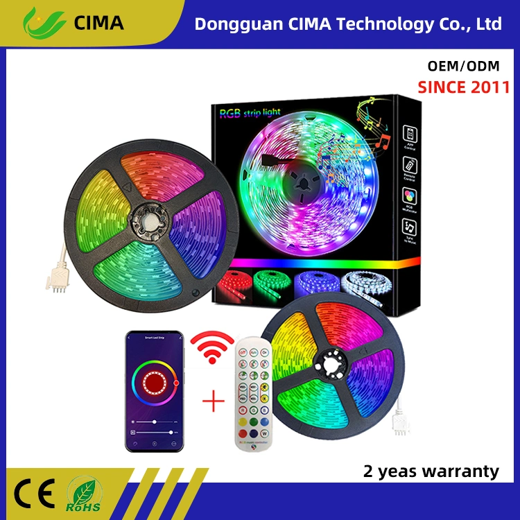 Contrôle de l'application Bande lumineuse néon RGB à changement de couleur intelligente avec WiFi et télécommande pour l'éclairage domestique