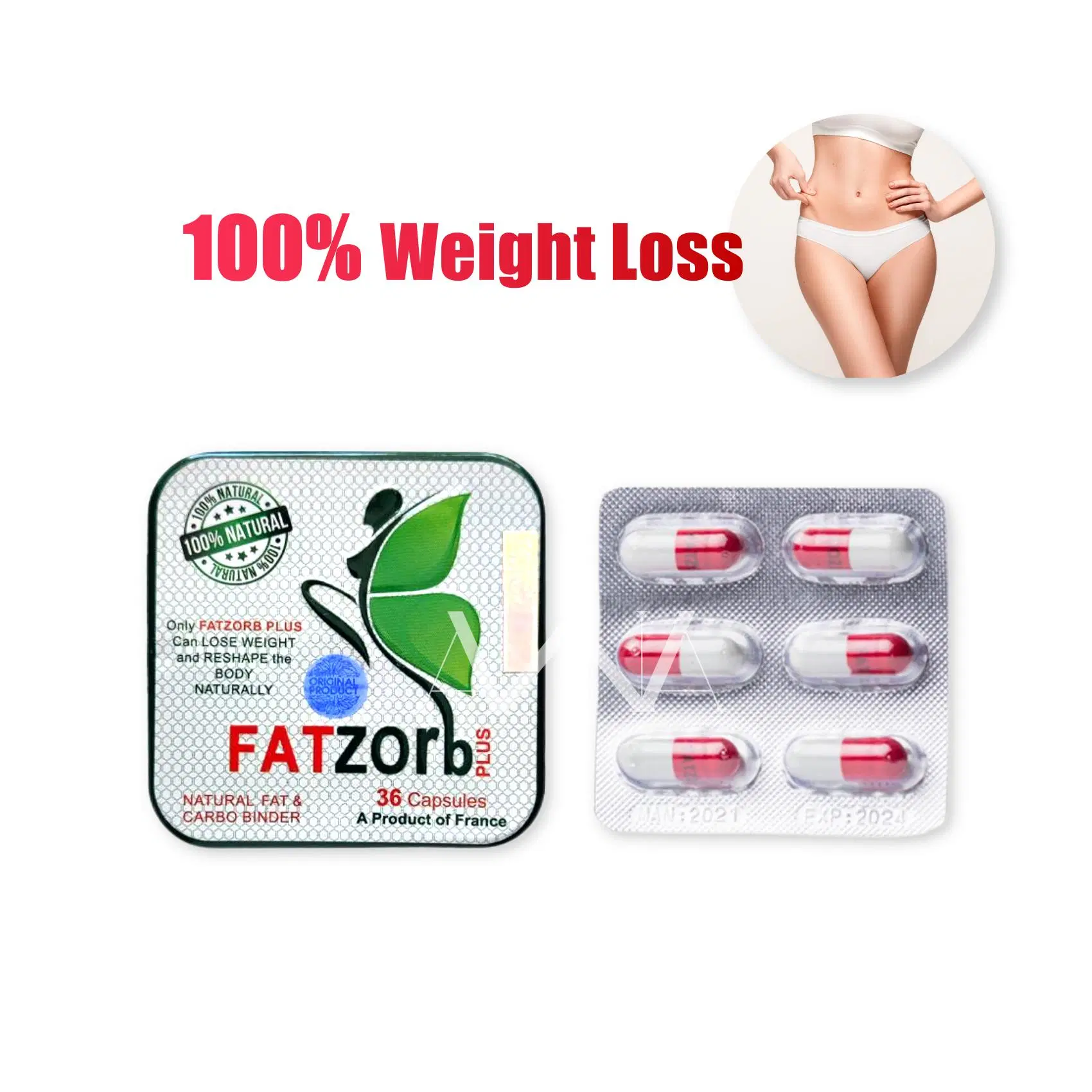 FAT-Go Fatzorb Capsules Formule perte de poids production de pureté originale