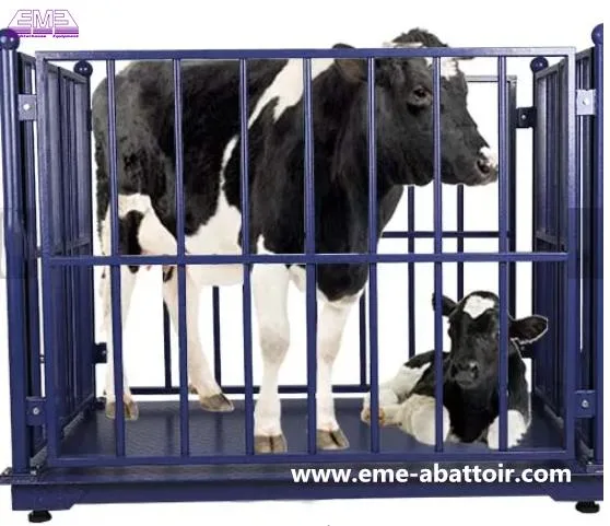 Living Cattle Livestock Scales Cow Weighing Machine Abattoir Equipment for Slaughter Processing