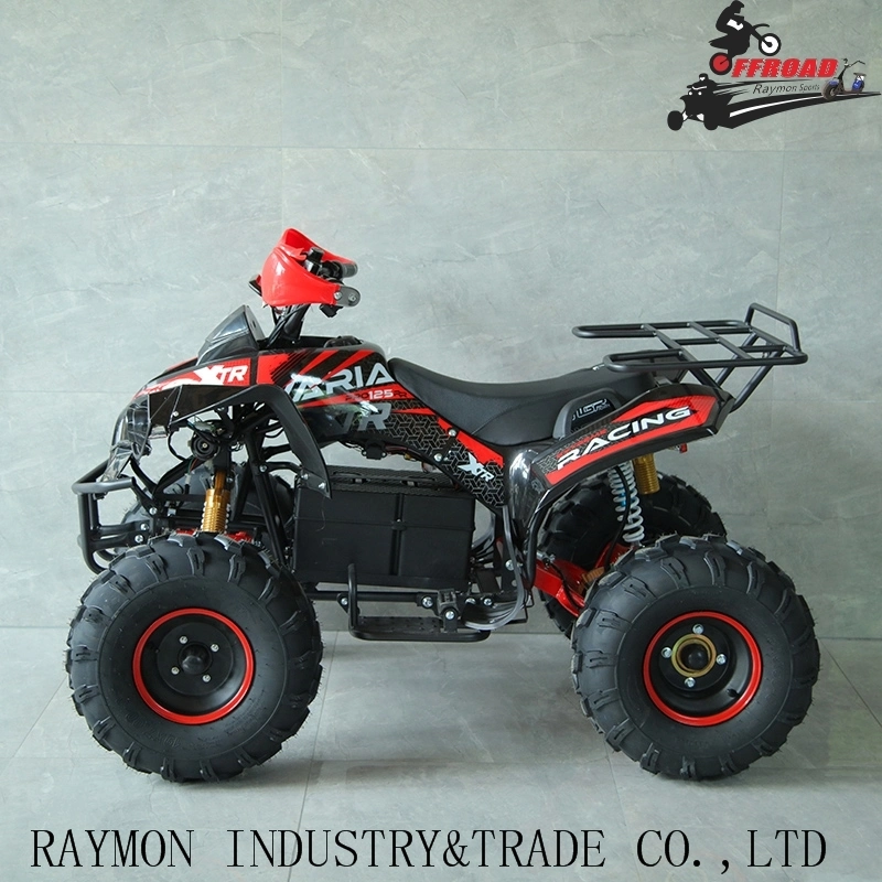 Electric Wholesale/Supplier ATV China 1000W ATV Quad Bike