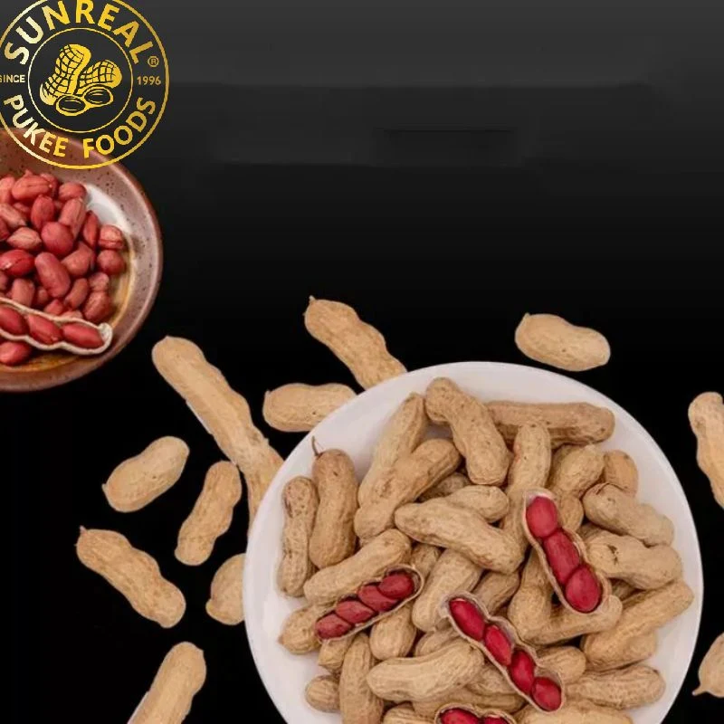 China Raw Red Skin Peanut in Shell/Superior Quality/Fine Packing/Multipurpose