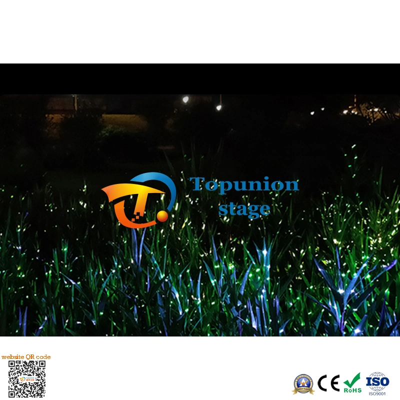 Dynamic Atmosphere Project Light Cultural Tourism Lights Projection Firefly Laser Light