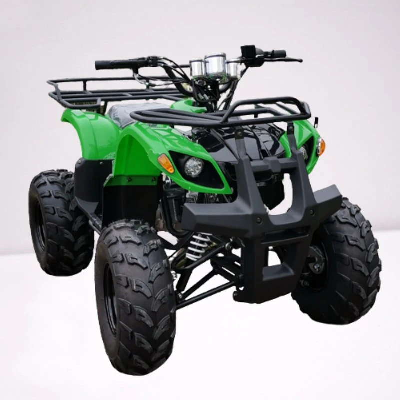 Chinese Professional Petrol Powered 125cc Quad Bike ATV