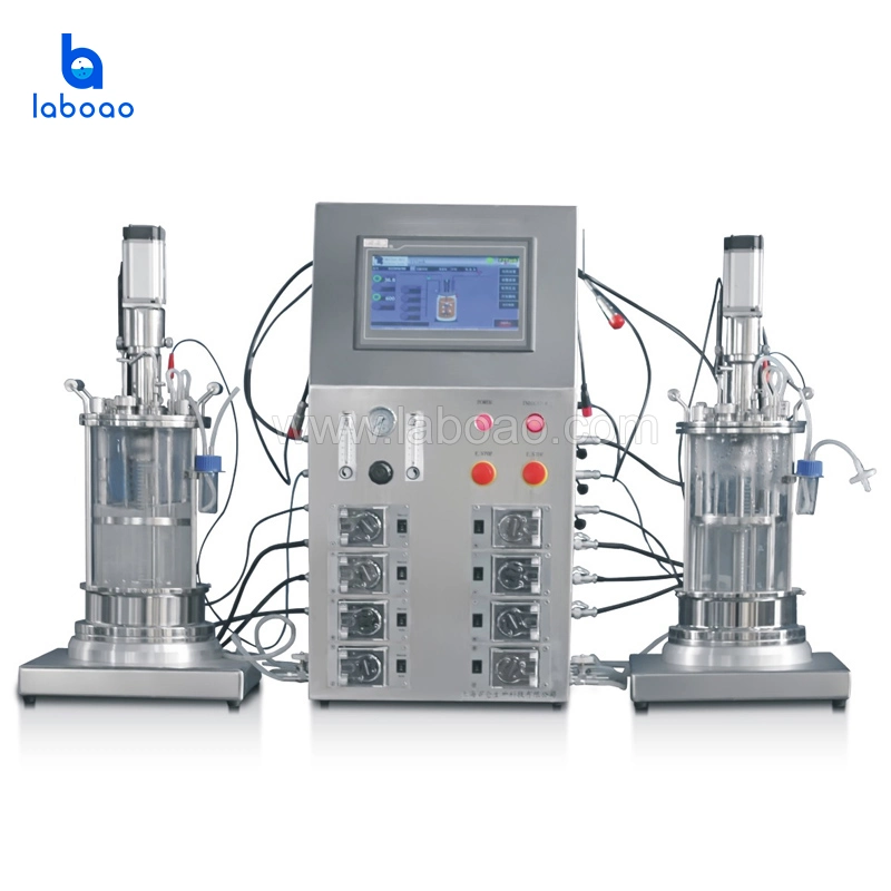 Laboao 15L Two Conjoined Glass Bacteria Bioreactor Microbial Culture Fermentation Tank