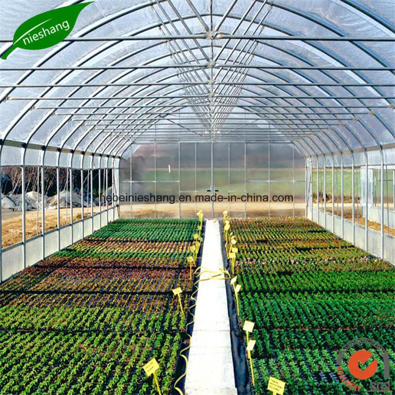 Greenhouse Agriculture Plastic Film Black or White Plastic Mulch Films