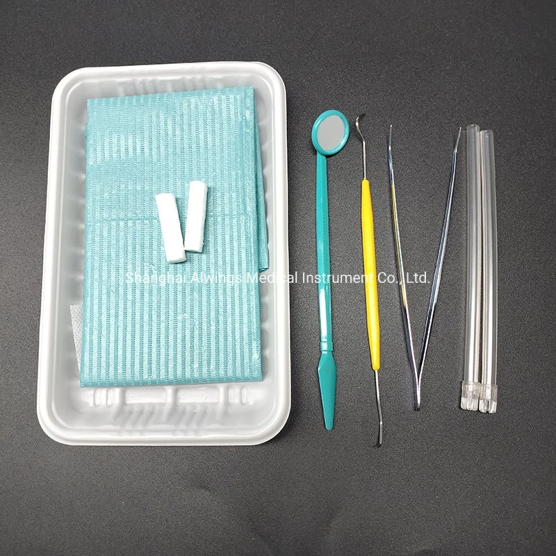 Dental Disposable Sterile Oral Examination Instruments Kit