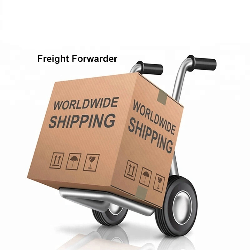 Schnelle DDP Air Shipping von Guangdong China nach USA Shipping Agent Freight Forwarder Air Shipping Service Global