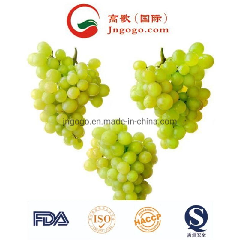 New Crop High quality/High cost performance Fresh Green Grape for Exporting