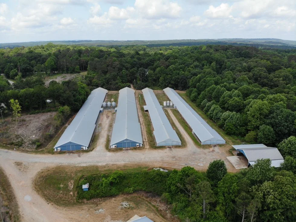 Galvanisé à chaud châssis en H ferme avicole pour le poulet/éleveur de poulets de chair/avec plein de l'équipement automatique