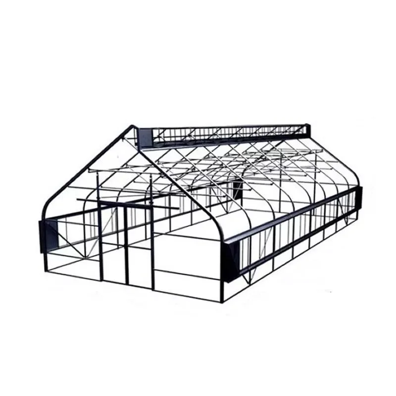 Customized Size Commercial Plastic Aeroponics System Po Hydroponic Systems Plant Film Greenhouse