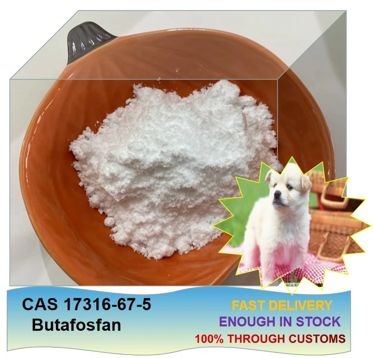 Factory Directly Sell Butafosfan CAS 17316-67-5 Butafosfan Large in Stock