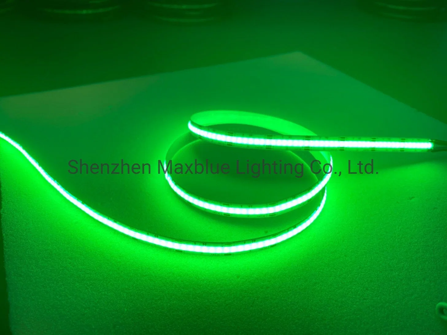 DC24V 840chips RGB Color Changing COB LED Light Strip