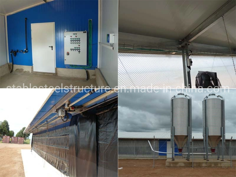 Prefabricated Frame Farm Chicken Shed Steel Structure Building Metal Prefab Poultry House