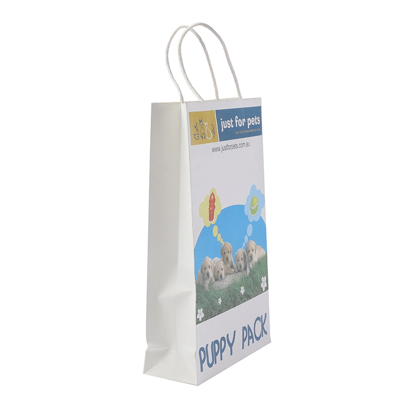 Colorful Printing Custom Made Recyclable Materials Paperbag