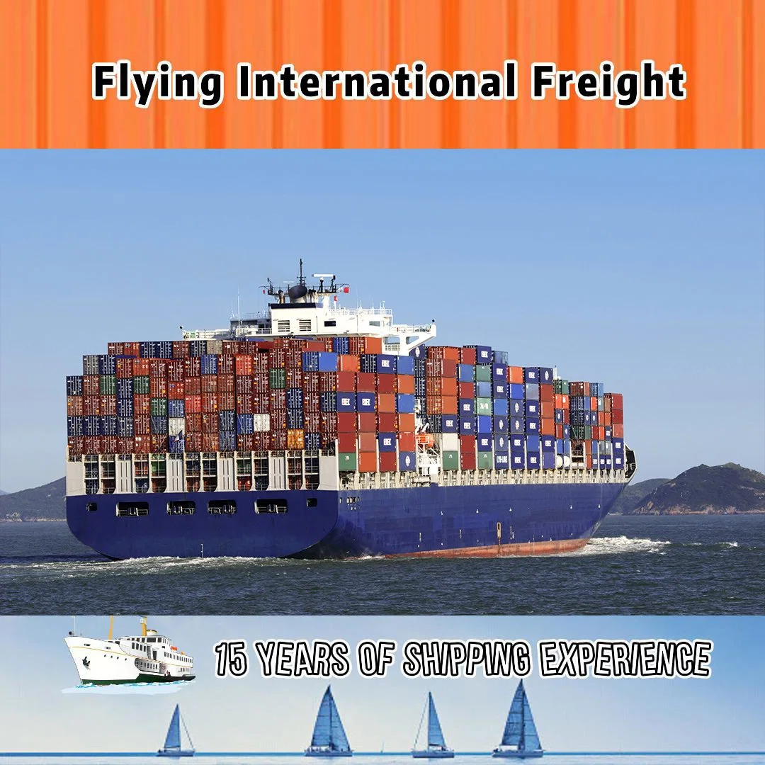 Bon marché de fret maritime et Fast Shipping Agent LCL/FCL/Sea DDP Logistics Service de la Chine à l'Amérique Europe Afrique Asie pays mondial