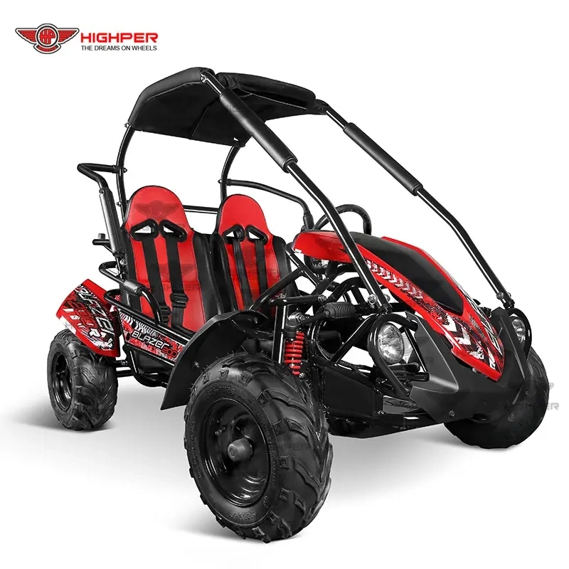 Gas Go Kart 200cc Crazy Buggy Car