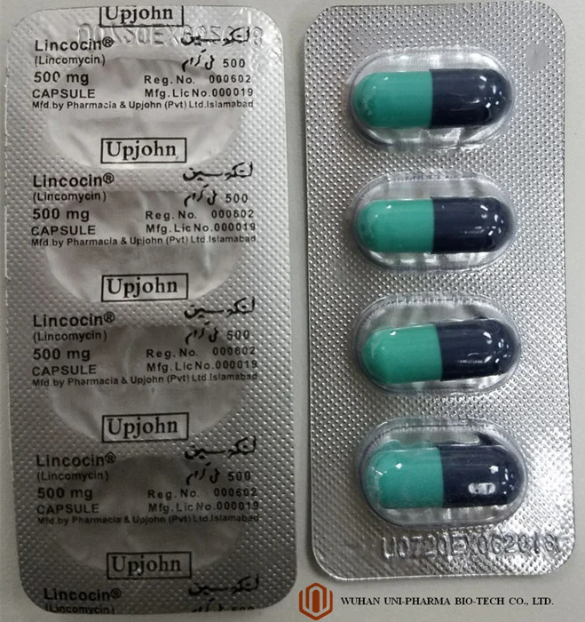 Finished Medicie Pharmaceutical Capsules Lincomycin Hydrochloride Capsules USP Bacteriostatic Antimicrobial