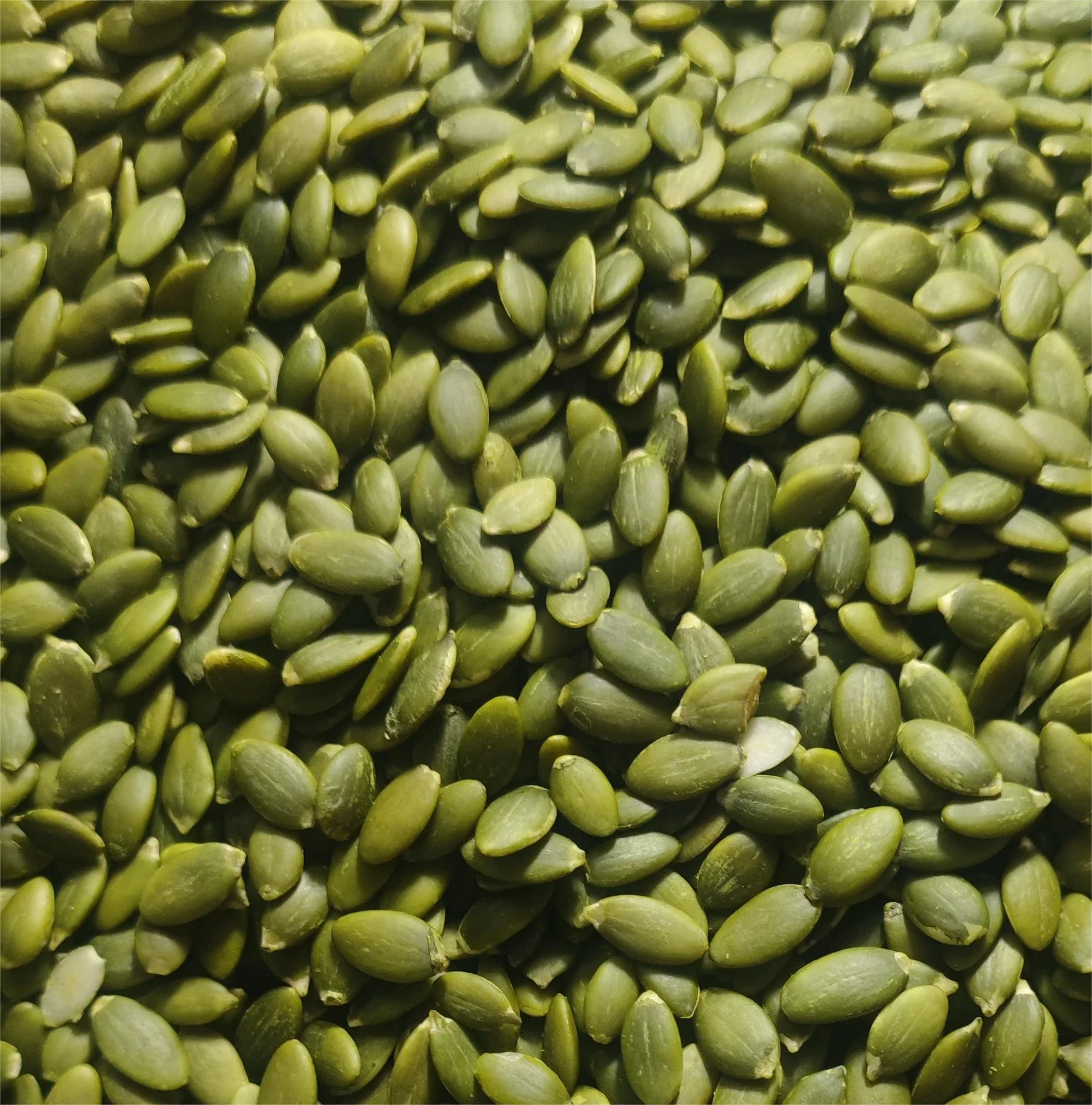 Good Quality Wholesale/Supplier Price Pumpkin Seeds From China