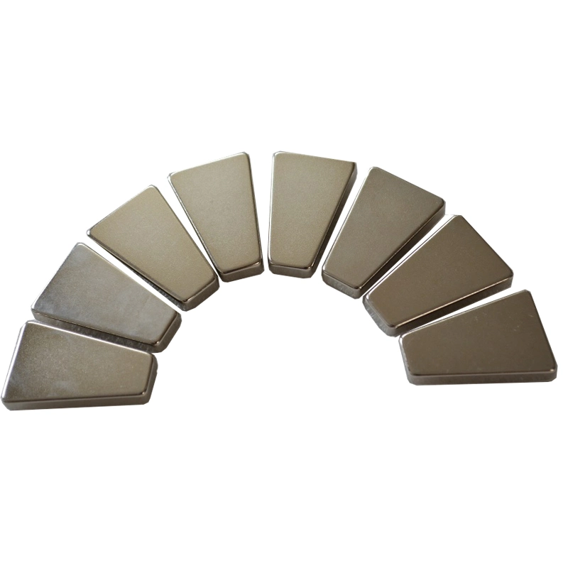 China Industrial Neodymium Arc Motor Magnets